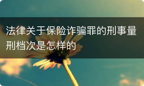 法律关于保险诈骗罪的刑事量刑档次是怎样的