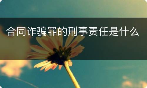合同诈骗罪的刑事责任是什么