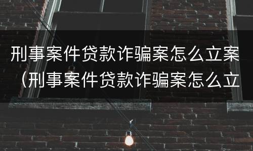 刑事案件贷款诈骗案怎么立案（刑事案件贷款诈骗案怎么立案审理）