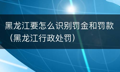 黑龙江要怎么识别罚金和罚款（黑龙江行政处罚）