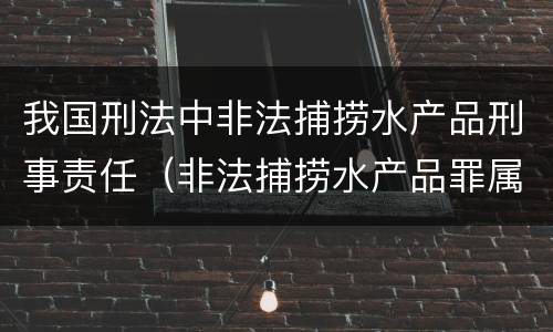 我国刑法中非法捕捞水产品刑事责任（非法捕捞水产品罪属于什么犯罪类型）