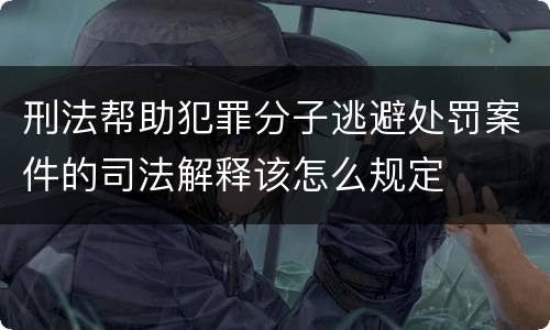 刑法帮助犯罪分子逃避处罚案件的司法解释该怎么规定