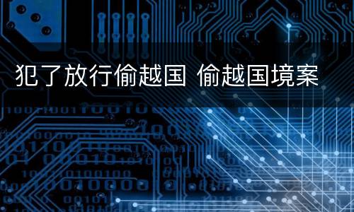 犯了放行偷越国 偷越国境案