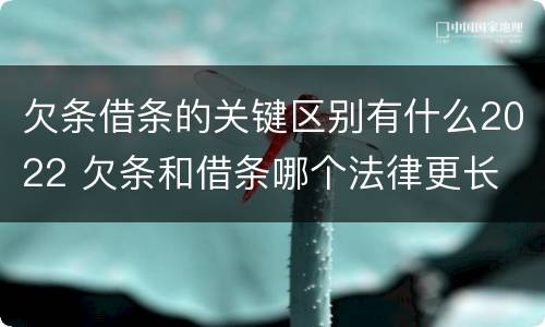 欠条借条的关键区别有什么2022 欠条和借条哪个法律更长