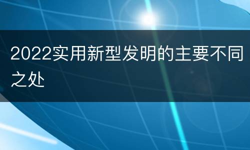 2022实用新型发明的主要不同之处