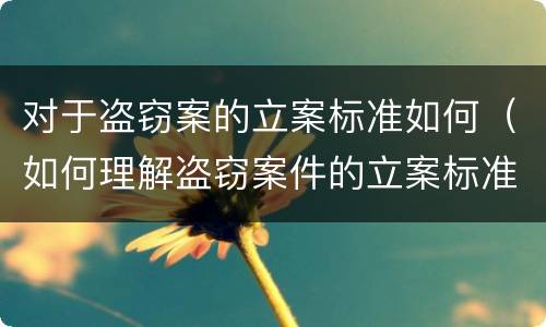 对于盗窃案的立案标准如何（如何理解盗窃案件的立案标准）