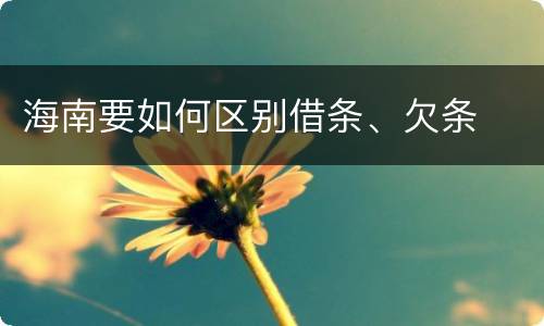 海南要如何区别借条、欠条