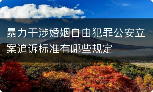 暴力干涉婚姻自由犯罪公安立案追诉标准有哪些规定