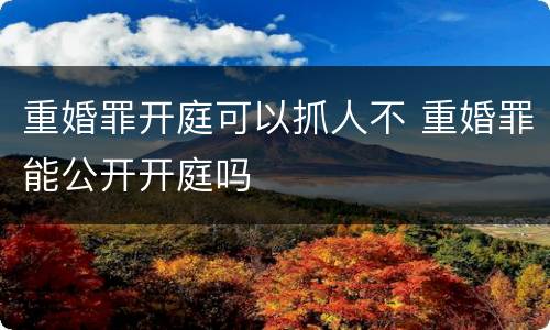 重婚罪开庭可以抓人不 重婚罪能公开开庭吗