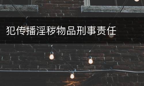 犯传播淫秽物品刑事责任