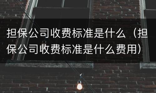 担保公司收费标准是什么（担保公司收费标准是什么费用）
