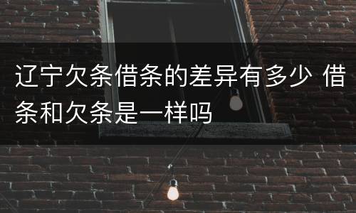 辽宁欠条借条的差异有多少 借条和欠条是一样吗