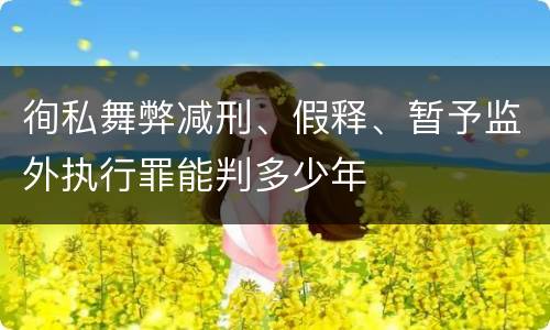 徇私舞弊减刑、假释、暂予监外执行罪能判多少年