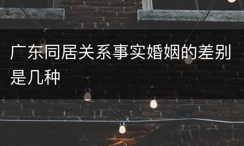 广东同居关系事实婚姻的差别是几种