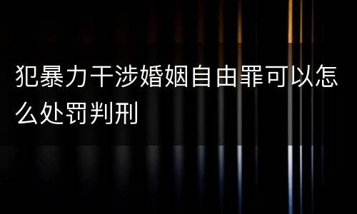 犯暴力干涉婚姻自由罪可以怎么处罚判刑