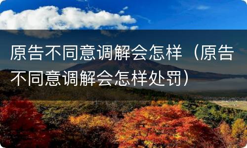 原告不同意调解会怎样（原告不同意调解会怎样处罚）