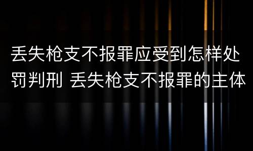 丢失枪支不报罪应受到怎样处罚判刑 丢失枪支不报罪的主体是什么