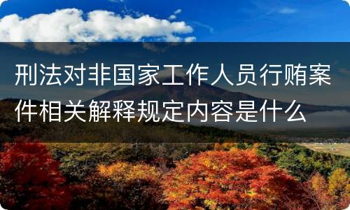 刑法对非国家工作人员行贿案件相关解释规定内容是什么