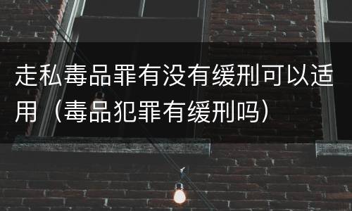 走私毒品罪有没有缓刑可以适用（毒品犯罪有缓刑吗）