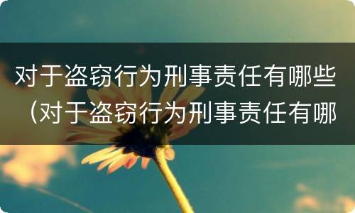 对于盗窃行为刑事责任有哪些（对于盗窃行为刑事责任有哪些处罚）
