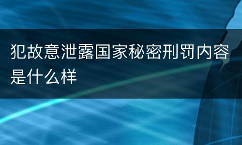 犯故意泄露国家秘密刑罚内容是什么样