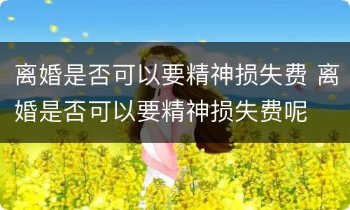 离婚是否可以要精神损失费 离婚是否可以要精神损失费呢