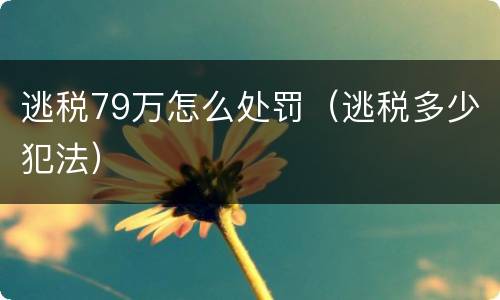 逃税79万怎么处罚（逃税多少犯法）
