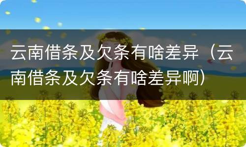 云南借条及欠条有啥差异（云南借条及欠条有啥差异啊）