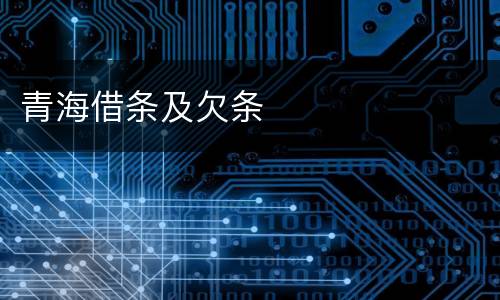 青海借条及欠条
