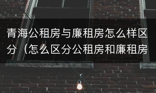 青海公租房与廉租房怎么样区分（怎么区分公租房和廉租房）