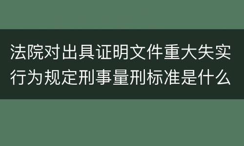 法院对出具证明文件重大失实行为规定刑事量刑标准是什么