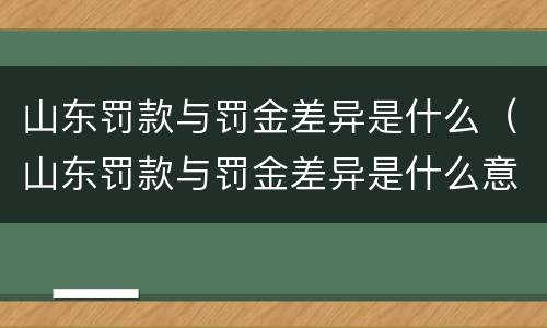 山东罚款与罚金差异是什么（山东罚款与罚金差异是什么意思啊）