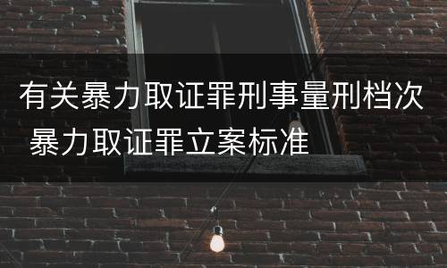 有关暴力取证罪刑事量刑档次 暴力取证罪立案标准