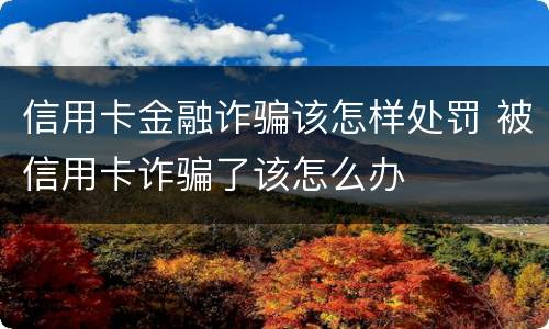 信用卡金融诈骗该怎样处罚 被信用卡诈骗了该怎么办
