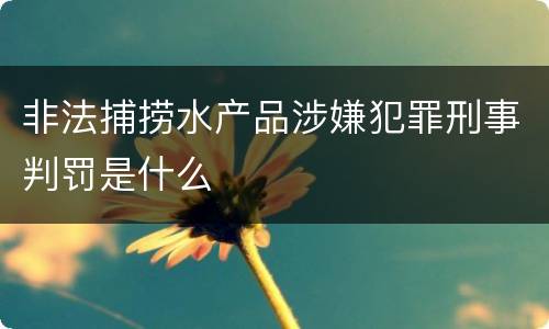 非法捕捞水产品涉嫌犯罪刑事判罚是什么