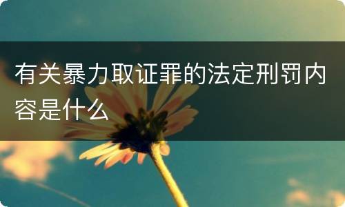 有关暴力取证罪的法定刑罚内容是什么