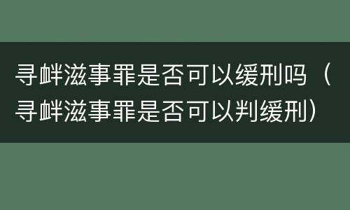 寻衅滋事罪是否可以缓刑吗（寻衅滋事罪是否可以判缓刑）