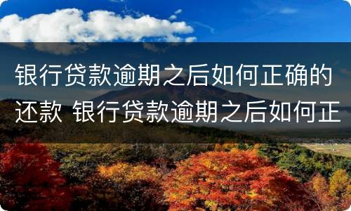银行贷款逾期之后如何正确的还款 银行贷款逾期之后如何正确的还款时间