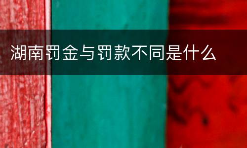 湖南罚金与罚款不同是什么
