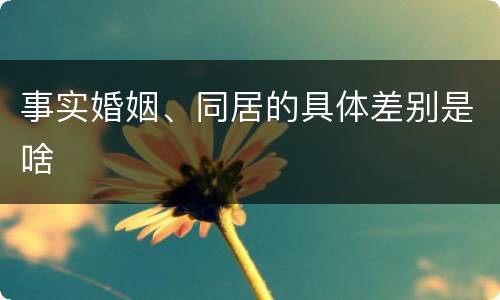 事实婚姻、同居的具体差别是啥