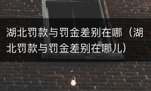 湖北罚款与罚金差别在哪（湖北罚款与罚金差别在哪儿）
