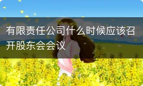 有限责任公司什么时候应该召开股东会会议