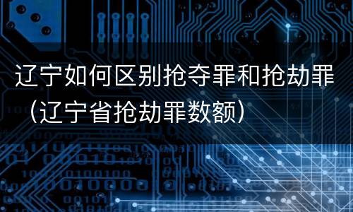 辽宁如何区别抢夺罪和抢劫罪（辽宁省抢劫罪数额）
