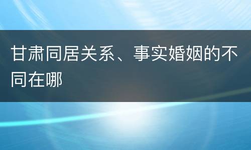 甘肃同居关系、事实婚姻的不同在哪