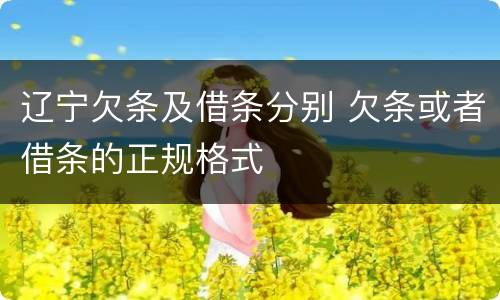 辽宁欠条及借条分别 欠条或者借条的正规格式