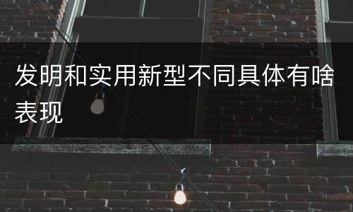发明和实用新型不同具体有啥表现