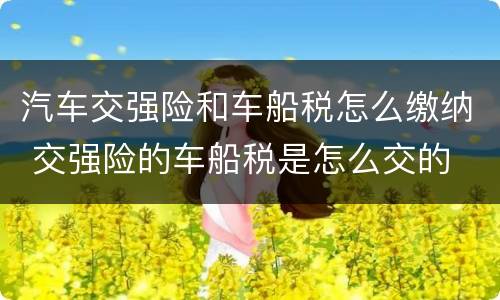 汽车交强险和车船税怎么缴纳 交强险的车船税是怎么交的