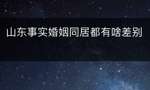 山东事实婚姻同居都有啥差别