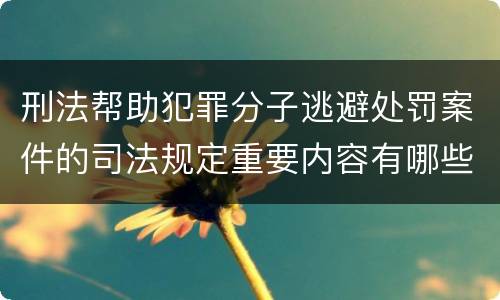 刑法帮助犯罪分子逃避处罚案件的司法规定重要内容有哪些