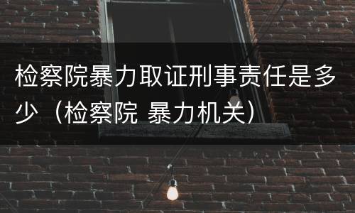 检察院暴力取证刑事责任是多少（检察院 暴力机关）